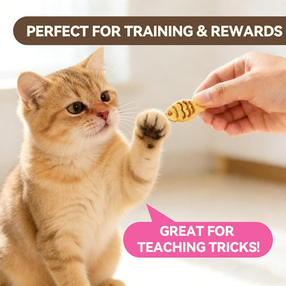 Catnip Cat Treats, Chicken & Salmon Flavor, Crunchy Bites, 16 Oz | Catnip-Infused Fish-Shaped Biscuits with Chicken and Salmon Flavors, Made for Training, Rewarding, and Everyday Bonding7