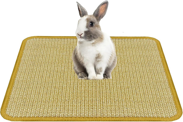 DYAUS Rabbit Scratching Pad, Sisal Bunny Scratch Pad, Natural Rabbit Foraging Mats for Cages, Indoor Bunny Toys Accessories for Bedding Biting Sleeping Resting (2PCS, 16X12In)9