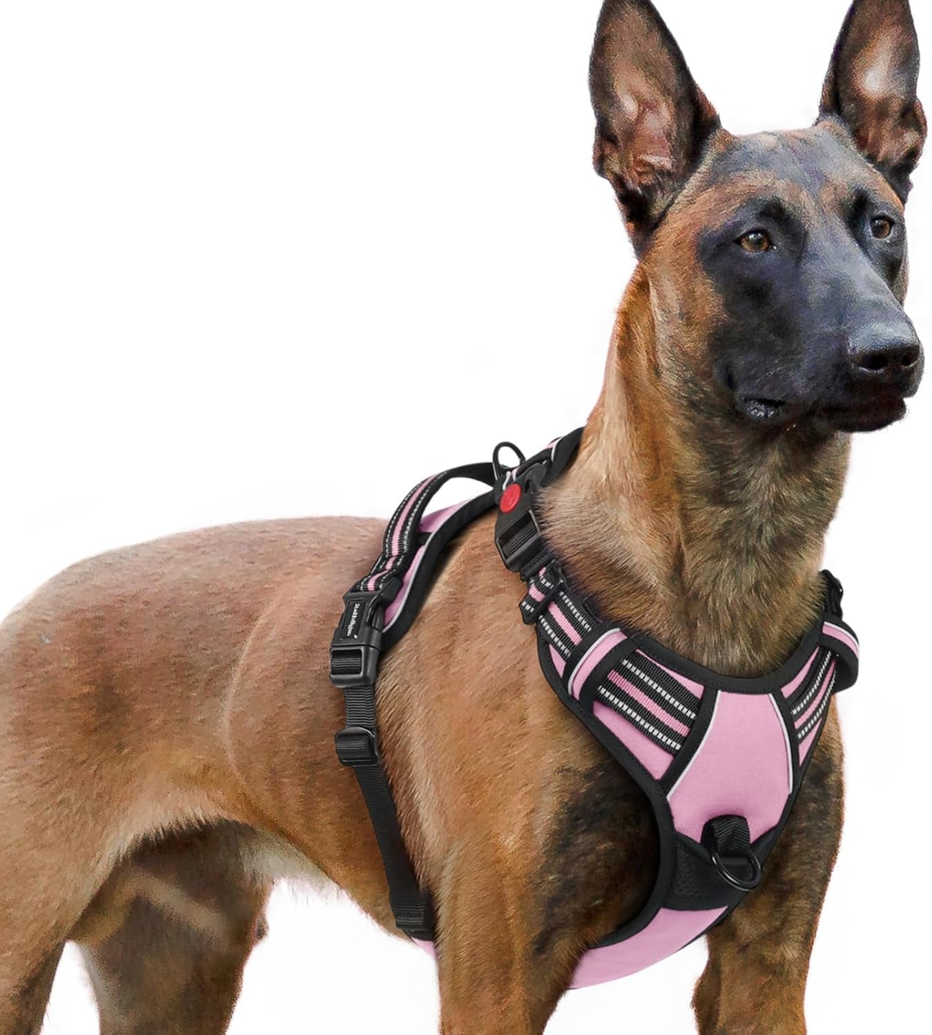rabbitgoo-dog-harness-medium-sized-updated-easy-on-off-with-3-buckles-no-pull-no-choke-walking-with-2-clips-and-handle-adjustable-soft-reflective-blue-medium
