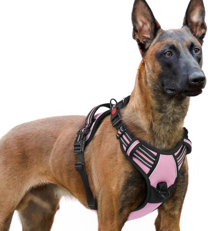 Rabbitgoo Dog Harness Medium Sized, Updated Easy on & off with 3 Buckles | No Pull No Choke, Walking with 2 Clips and Handle, Adjustable Soft Reflective, Blue, Medium44