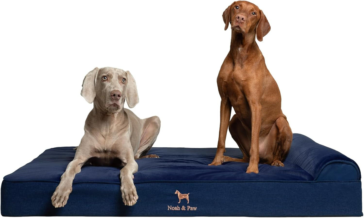 noah-paw-large-dog-bed-35x25x8-7-inch-orthopedic-dog-beds-eggshell-memory-foam-infused-with-cooling-gel-water-resistant-machine-washable-includes-inner-cover-velvet-collection