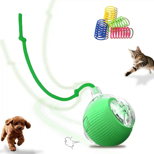 2-Pack USB Rechargeable Smart Cat Toy Ball, 360° Rotation Automatic Moving Chase Toy, Obstacle Avoidance Interactive Play with 4 Spiral Springs, Enrichment Toys for Indoor Cats, Puppies & Small Dogs13