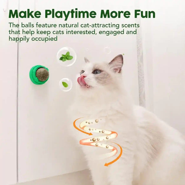 Potaroma Catnip Toys Balls 4 Pcs with Extra Cat Energy Ball | Edible Kitten Catnip Silvervine Toys for Cats Lick, Healthy Kitty Teeth Cleaning Dental Chew Toys, Cat Wall Treats (Green)4