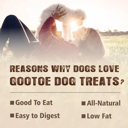 Gootoe Turkey Tendons, Dog Treats for Small Breeds, Bone (S), 6 Counts3