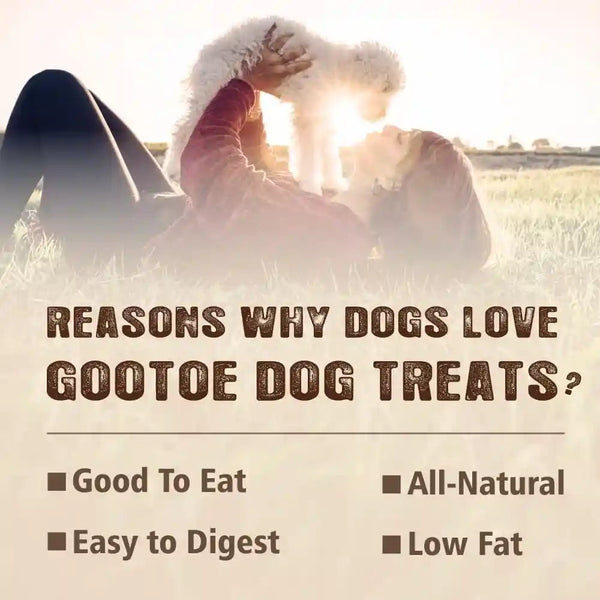 Gootoe Turkey Tendons, Dog Treats for Small Breeds, Bone (S), 6 Counts3