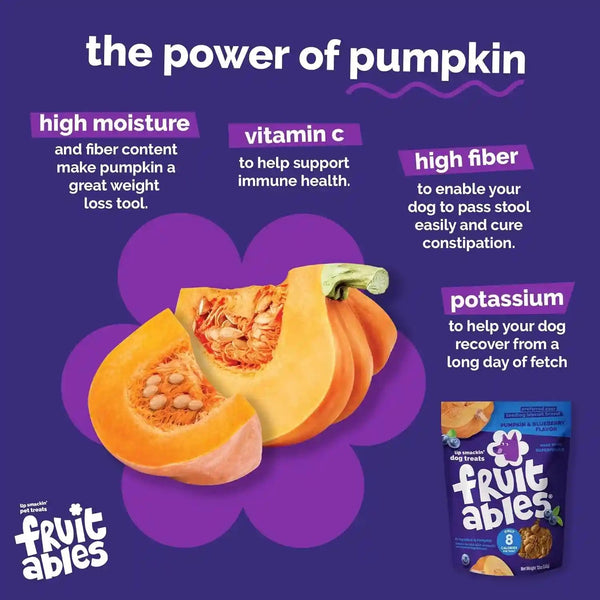 Fruitables Biggies Dog Biscuits, Healthy Treats for Dogs, Doggie Biscuits, Crunchy Pumpkin Treats, Made without Wheat, Corn and Soy, Made in the USA, Pumpkin and Blueberry Flavor, 16Oz9