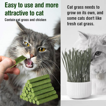 120G/4.23Oz Cat Grass Teething Stick Hairballs,Chew Sticks for Cats,Catnip Toys Sticks Indoor Kitten Chew Stick (Green)4