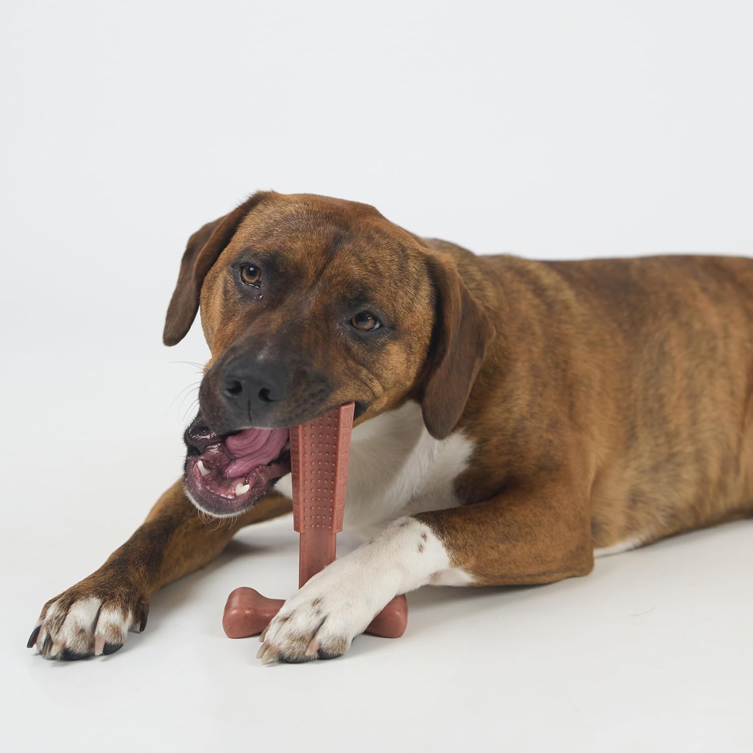 spot-bam-bones-plus-t-bone-bamboo-fiber-nylon-dog-chew-toy-for-moderate-to-aggressive-chewers-durable-long-lasting-non-splintering-beef-flavor-toy-for-adult-dogs-puppies-under-60-lbs-6-in