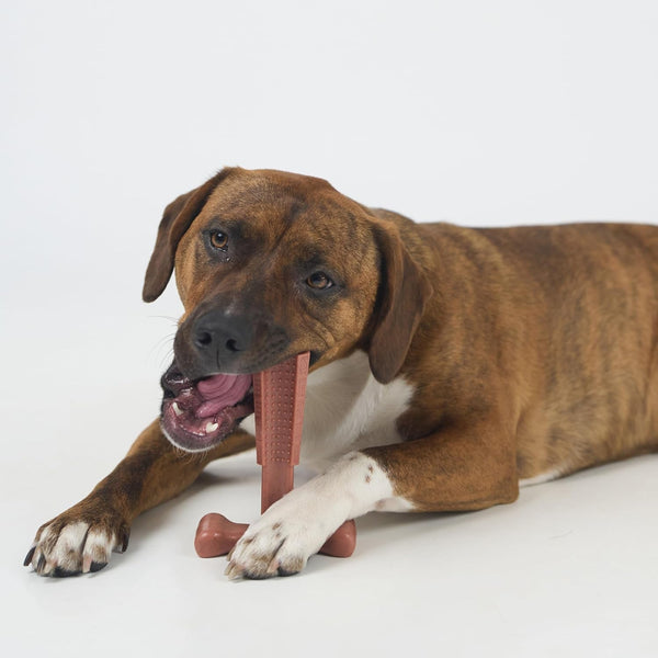 SPOT Bam-Bones plus T Bone – Bamboo Fiber & Nylon Dog Chew Toy for Moderate to Aggressive Chewers, Durable Long Lasting & Non-Splintering, Beef Flavor Toy for Adult Dogs & Puppies under 60 Lbs, 6 In14