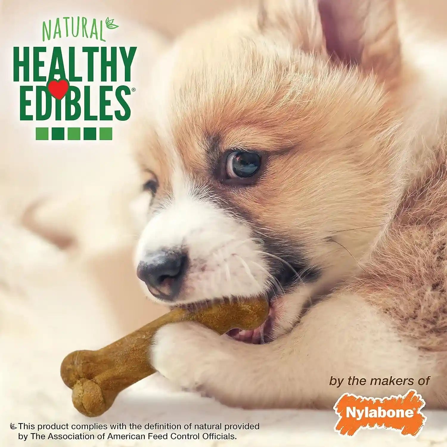 nylabone-healthy-edibles-natural-puppy-chews-long-lasting-treats-for-puppies-roast-beef-apple-bacon-dog-treats-x-small-petite-3-count