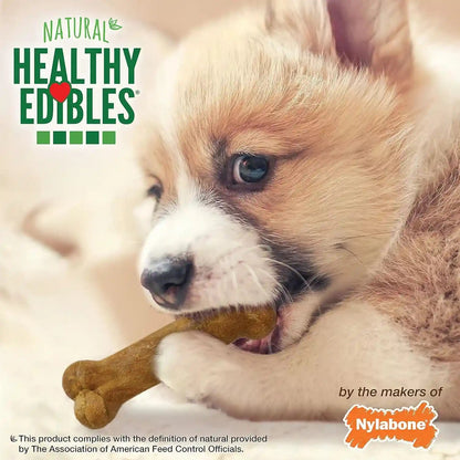Nylabone Healthy Edibles Natural Puppy Chews Long Lasting Treats for Puppies, Roast Beef/Apple/Bacon Dog Treats, X-Small/Petite (3 Count)9