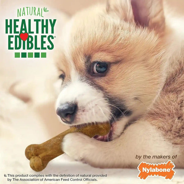 Nylabone Healthy Edibles Natural Puppy Chews Long Lasting Treats for Puppies, Roast Beef/Apple/Bacon Dog Treats, X-Small/Petite (3 Count)9