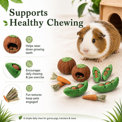 HERCOCCI 8Pcs Guinea Pig Chew Toys, Hamster Toys Prevent Excessive Teeth Growth Natural Vegetables Carrot and Timothy Grass for Guinea Pig Rabbit Chinchillas Gerbil2