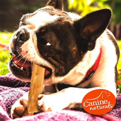 Canine Naturals Rawhide Free Beef Receipe Dog Chews, Sticks, 40 Count | 100% Rawhide Free, Made with Real Beef, Poultry Free, All-Natural, Easily Digestible, 5 in Sticks, Dog Treats, Bulk Pack6