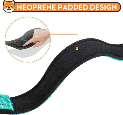 Reflective Dog Collar, Adjustable Soft Neoprene Padded,Teal,M | Breathable Nylon for Medium Dogs,Tear-Resistant Webbing,Chafe‑Free on Walks and Hikes,Metal D-Ring,Night Safety4