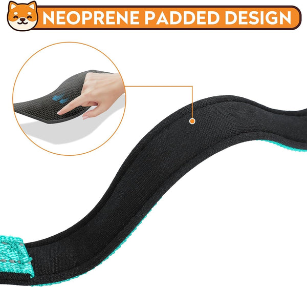 Reflective Dog Collar, Adjustable Soft Neoprene Padded,Teal,M | Breathable Nylon for Medium Dogs,Tear-Resistant Webbing,Chafe‑Free on Walks and Hikes,Metal D-Ring,Night Safety4