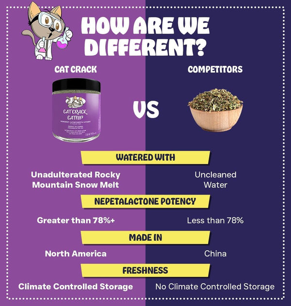 Cat Crack Catnip, Zoomie-Inducing Cat Nip, 100% Natural North American Made | 100% Natural, Safe & Non-Addictive Catnip Treats Used to Supplement Cat Nip Toys, Spray, & Accessories (1 Cup)4