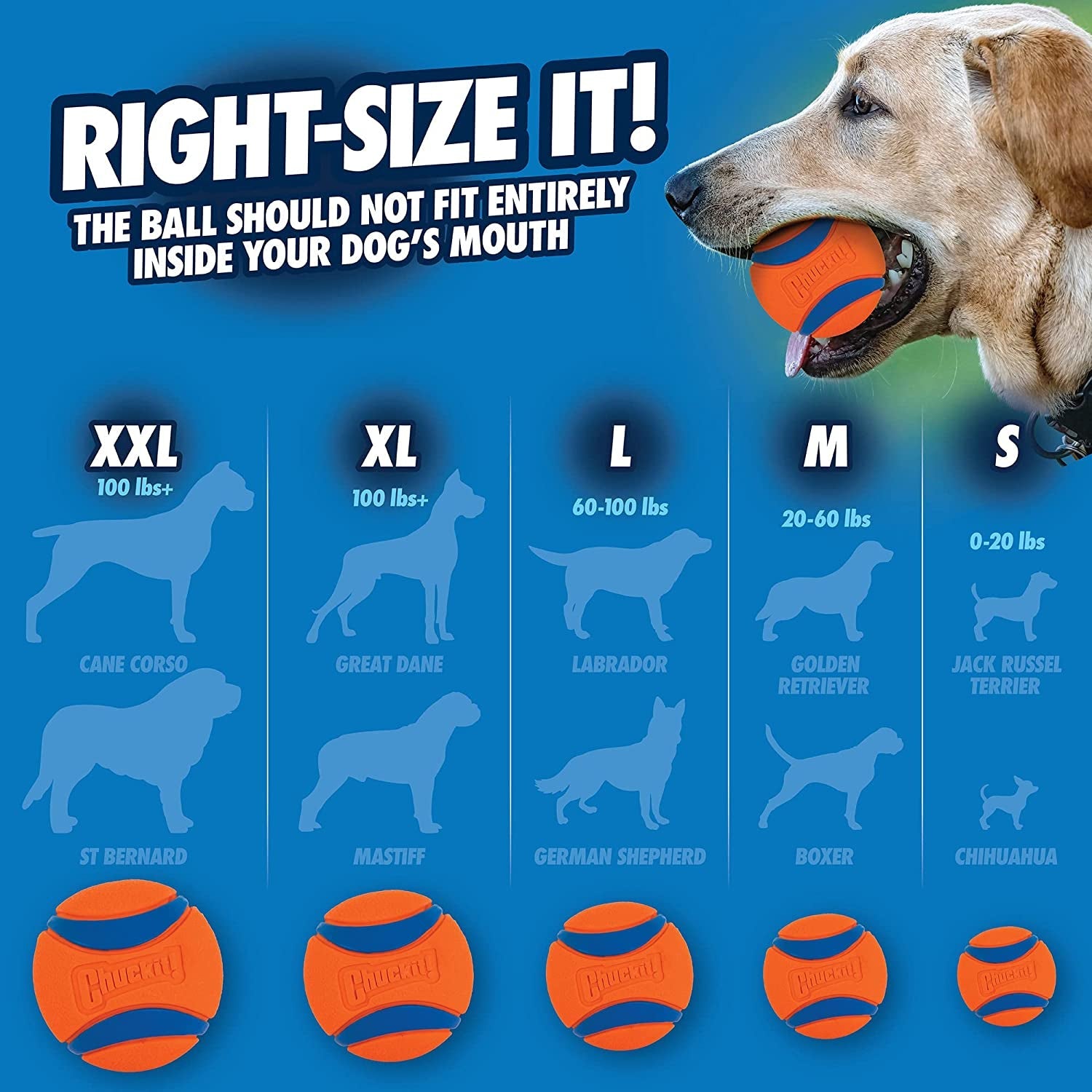 chuckit-ultra-ball-dog-toy-balls-for-dogs-to-fetch-durable-rubber-small-2-inch-pack-of-2