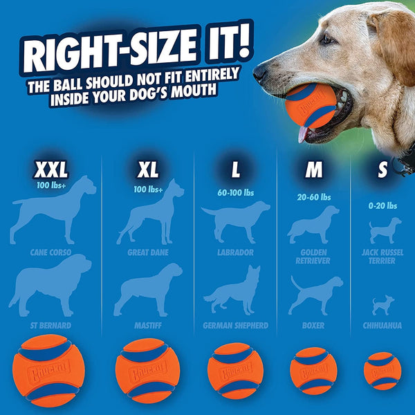 Chuckit! Ultra Ball Dog Toy, Balls for Dogs to Fetch, Durable Rubber, Small 2-Inch, Pack of 27