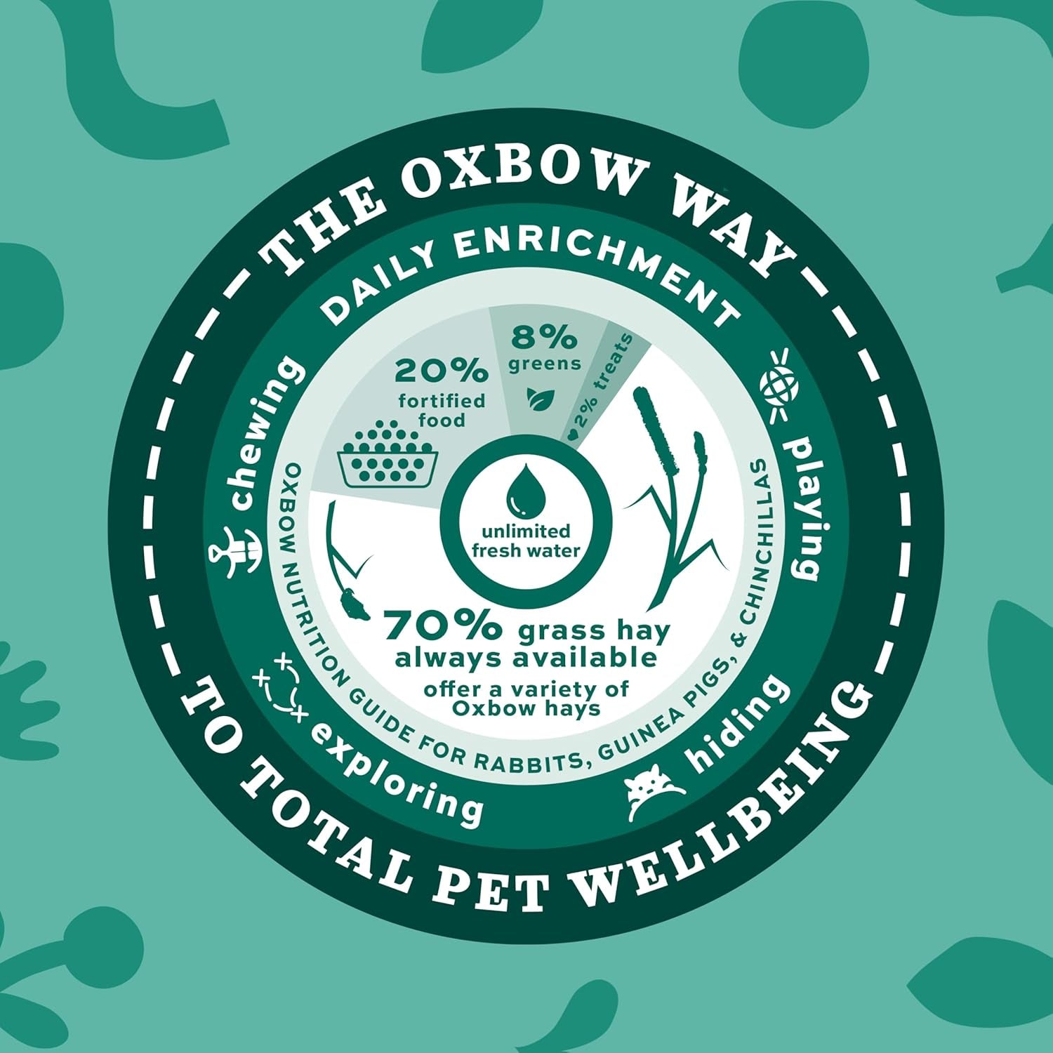 oxbow-western-timothy-hay-guinea-pig-hay-small-pet-bunny-supplies-all-natural-grass-for-guinea-pig-bunny-chinchilla-hamster-oxbow-rabbit-supplies-for-bunnies-9-lb-box-oxbow-timothy-hay-bunny-hay-for-rabbits-guinea-pigs-bunnies-and-chinchillas-hand-sorted-de-dusted-made-in-usa