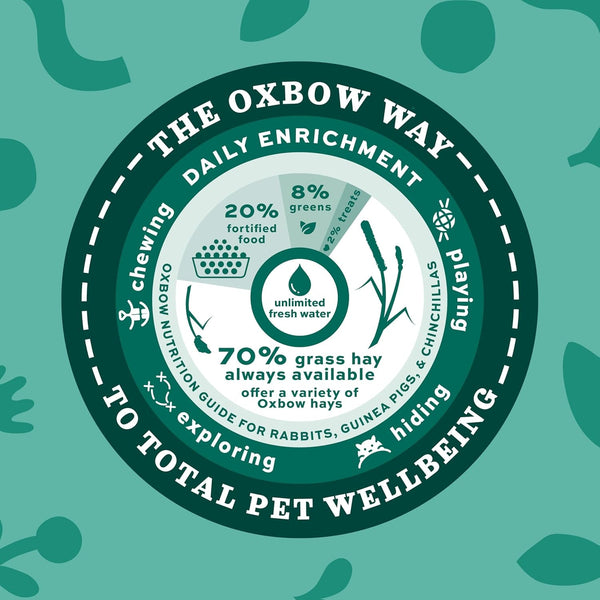 Oxbow Western Timothy Hay, Guinea Pig Hay, Small Pet Bunny Supplies, All Natural Grass for Guinea Pig, Bunny, Chinchilla & Hamster, Oxbow Rabbit Supplies for Bunnies, 9 Lb Box | Oxbow Timothy Hay, Bunny Hay for Rabbits, Guinea Pigs, Bunnies and Chinchillas, Hand-Sorted, De-Dusted, Made in USA10