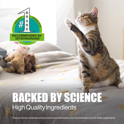 Nutramax Laboratories Dasuquin Joint Health Supplement for Cats - with Glucosamine, Chondroitin, ASU, Boswellia Serrata Extract, and Green Tea Extract, 84 Capsules | Cat Joint Support, Glucosamine + Chondroitin, ASU, Boswellia Serrata Extract & Green Tea Extract, All Ages & Sizes6