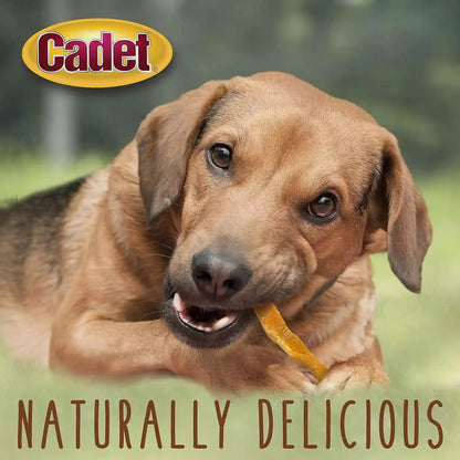 Cadet Gourmet Sweet Potato Steak Fries Dog Treats, 1 Lb | 100% Real Sweet Potato, Healthy Natural Chewy Dog Treats, Single Ingredient, Dog Training Treats, for Small & Large Dogs5