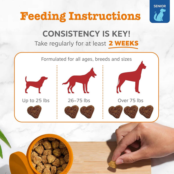 Zesty Paws Eye Supplement for Dogs - Vision Support with Antioxidants & Omega 3 Fatty Acids - 90 Chews4