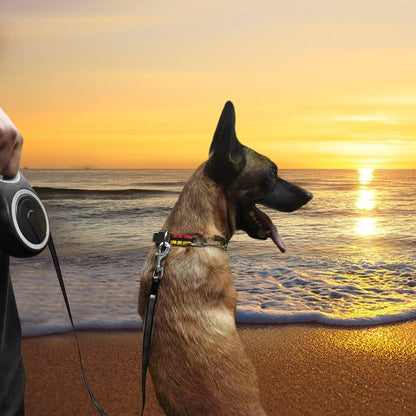 26Ft Retractable Dog Leash, Heavy Duty Great Leash for Dog up to 110 Lbs, Anti-Slip Rubberized Handle, One-Handed Brake, Strong Nylon Tape, Tangle Free(Large Size).6