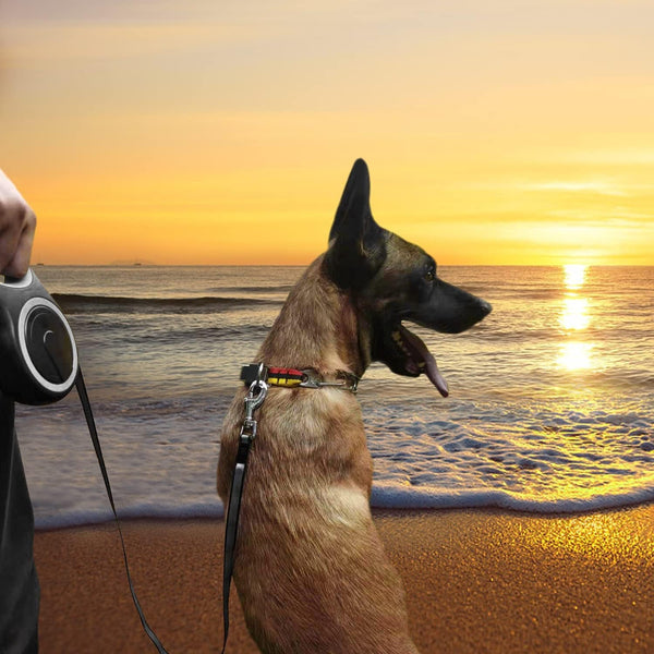 26Ft Retractable Dog Leash, Heavy Duty Great Leash for Dog up to 110 Lbs, Anti-Slip Rubberized Handle, One-Handed Brake, Strong Nylon Tape, Tangle Free(Large Size).6
