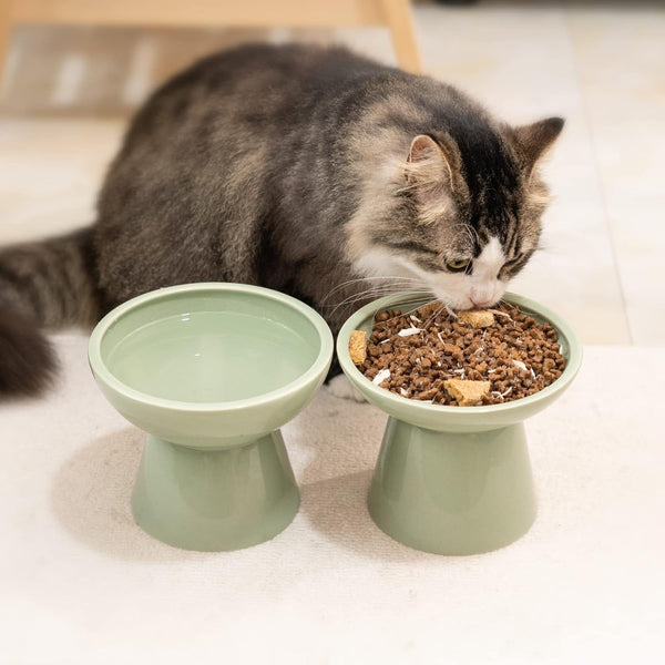 CEEFU 2-Pack Elevated Ceramic Cat Bowls Extra Wide for Food & Water | anti Vomiting, Whisker Friendly, Shallow Food Dish and Deep Water Bowl, Lead&Cadmium-Free, Raised Height for Cats, Sage Green7