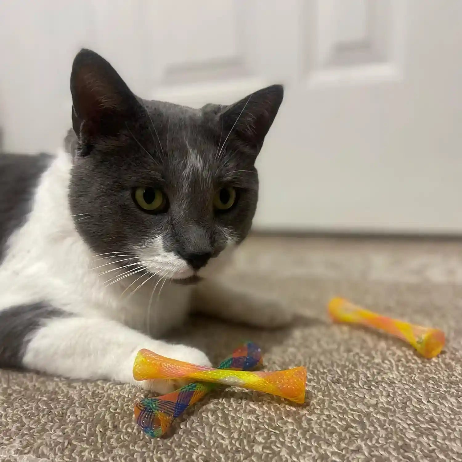 spot-kitty-fun-tubes-cat-toy-with-catnip-inside-bouncy-interactive-mesh-toy-for-cats-and-kittens-to-bite-swat-and-chase-3-pieces
