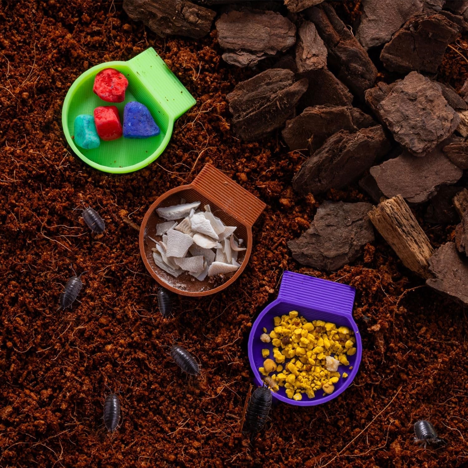 12-pack-feeding-dish-for-invertebrates-feeder-bowls-for-dubia-roaches-isopods-springtails-superworms-small-insects-more-mini-bowls-for-reptile-food-supplements
