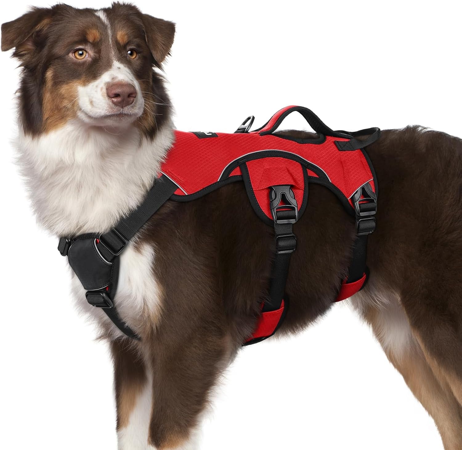 rabbitgoo-escape-proof-dog-harness-for-large-no-pull-with-lift-handle-no-escape-full-soft-padded-reflective-adjustable-vest-leash-clip-for-walking-hiking-training-black-large