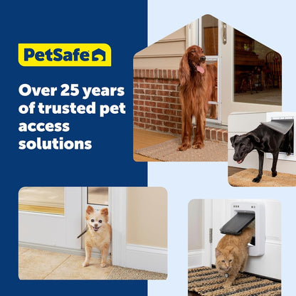 Petsafe Interior Cat Door, 2-Way Lock, White, Cats up to 15 Lb | High-Impact Frame with Transparent Flap, Fits Interior Doors, Hardware and Template Included8
