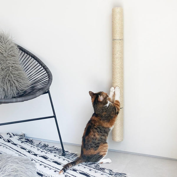 Xympo 34" Wall Mounted Cat Scratcher, Sisal Scratching Post1