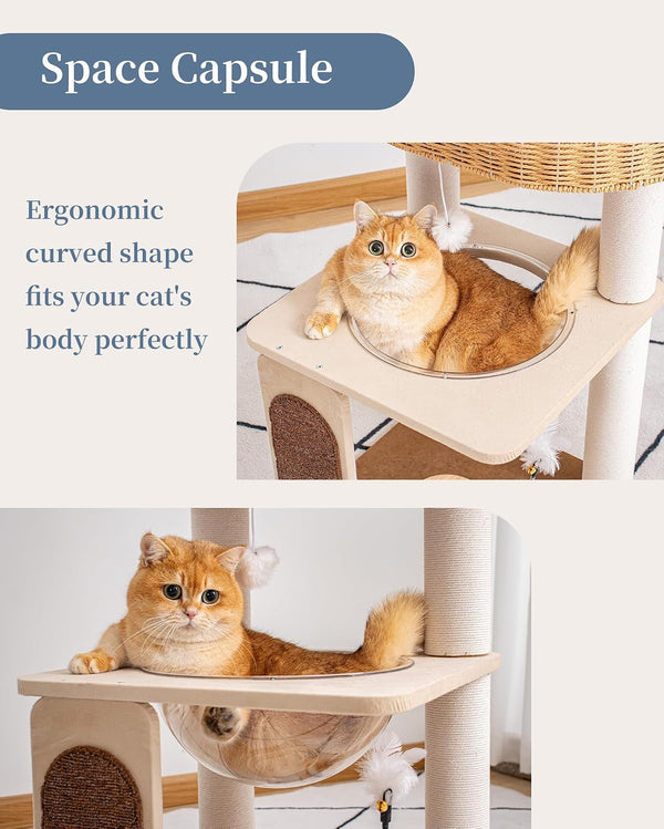 Modern Cat Tree for Large Cats, Modern Cat Tree Tower with Wide Shelves Cotton Scratching Posts, Super Sturdy Base, Cozy Perches, and Interactive Toys for Indoor Kittens 31-Inch3