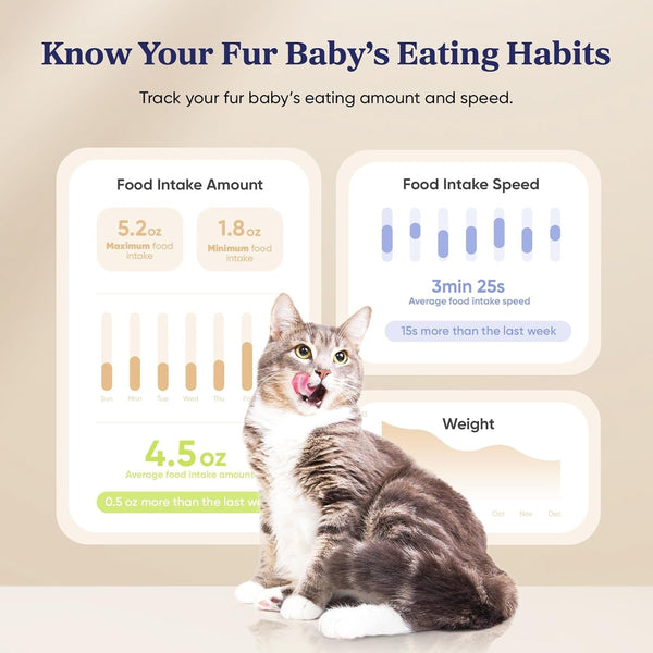 Automatic Cat Feeder, Wifi & Smart Scale, Remote Feeding | Tracks Pet'S Food Intake, 3.6L Timed Food Dispenser, up to 10 Meals per Day, Dual Power Supply, Stainless Steel Bowl5