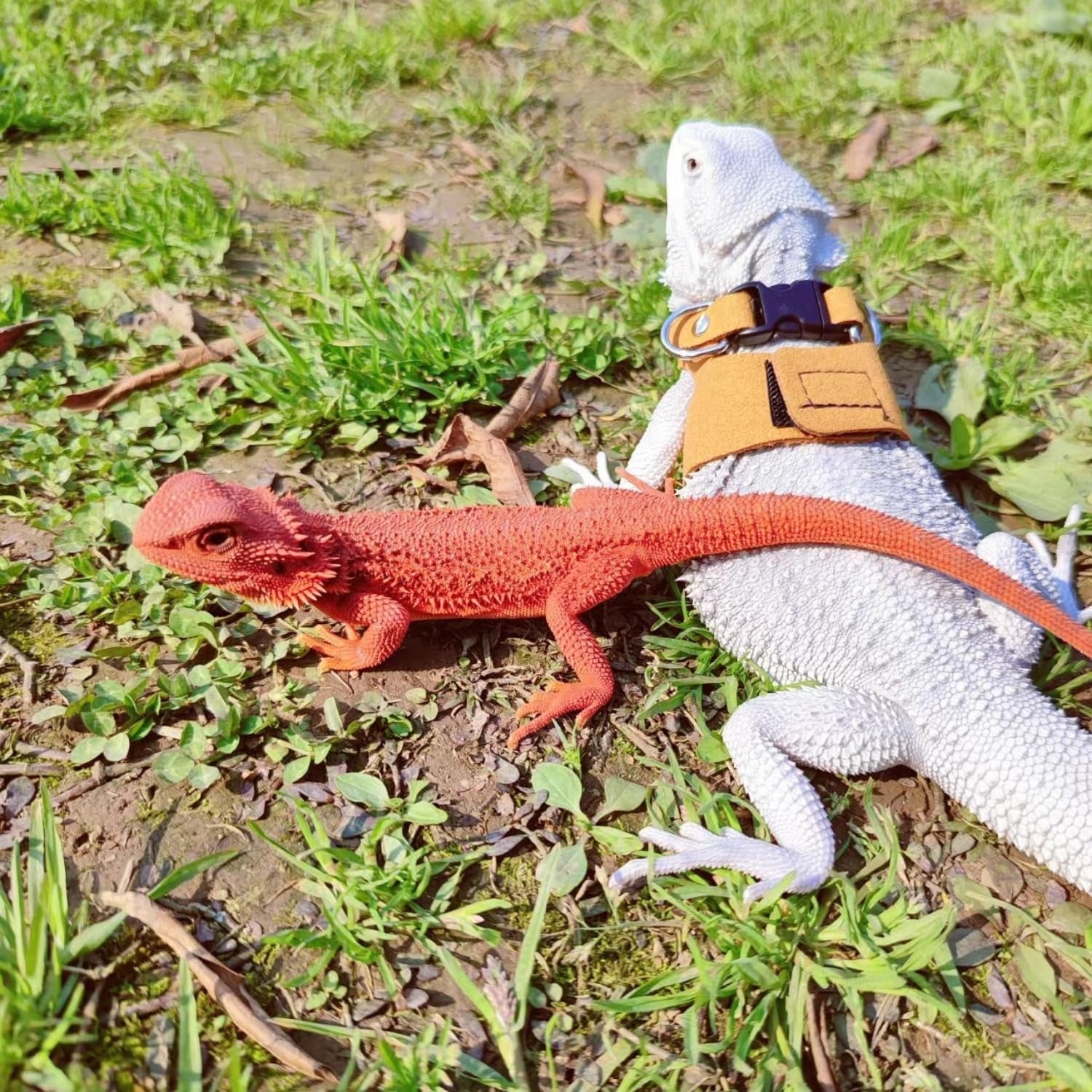 3-pack-bearded-dragon-harness-and-leash-set-adjustable-soft-leather-lizard-harness-leash-small-animal-traction-rope-training-walking-vest-accessories-for-reptile-squirrel-rat-brown