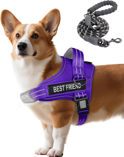 AUROTH Dog Harness and Leash Set, Soft Padded Service Dog Vest with 5.25FT Dog Leash, No Choke, Easy on Pet Vest, Adjustable Reflective No Pull Pet Vest Medium Sized Dog, Easy Walking and Training10