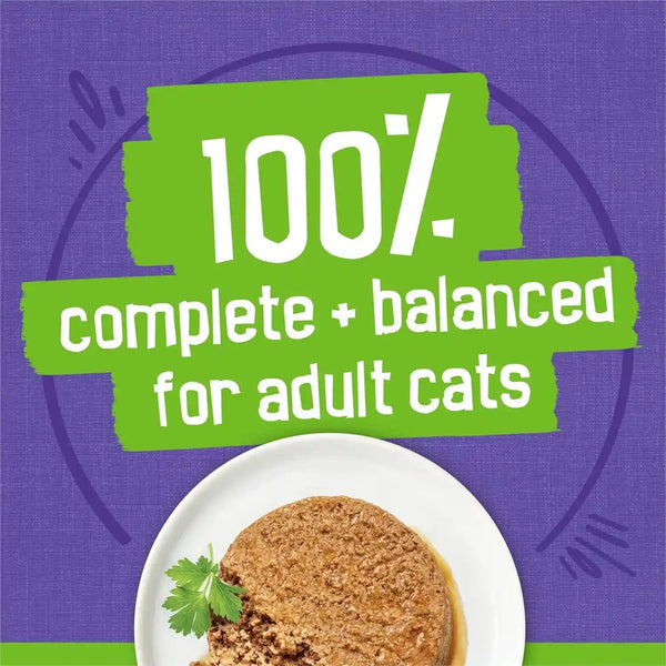 Purina Friskies Pate Wet Cat Food Variety Pack Seafood and Chicken Pate Favorites 40Ct VP - (Pack of 40) 5.5 Oz. Cans6