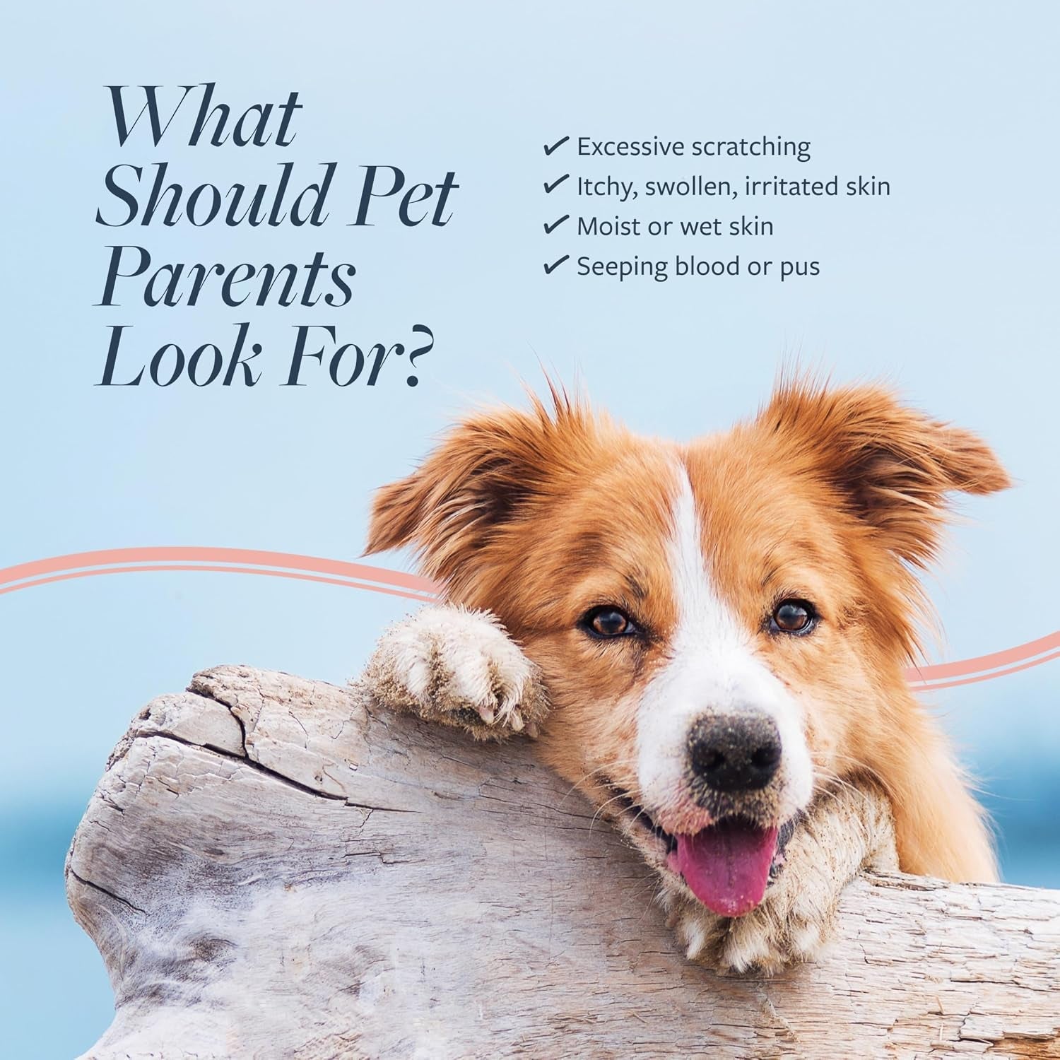 veterinary-formula-clinical-care-hot-spot-itch-relief-conditioner-16-oz-medicated-oatmeal-formula-conditions-the-skin-and-helps-alleviate-itching-in-dogs-and-cats