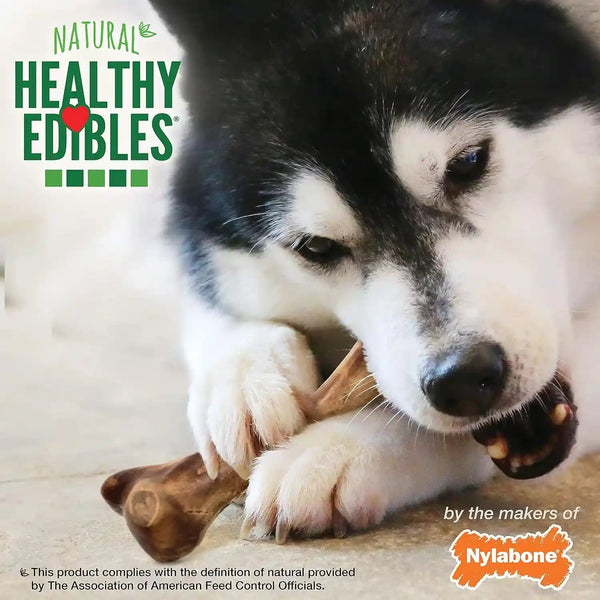 Nylabone Healthy Edibles Wild Dog Treats, Bison Flavor, Large | Natural Dog Chew Bones, Made in USA, Highly Digestible Dog Chews, Long Lasting Chews for Large Dogs up to 50 Lbs6