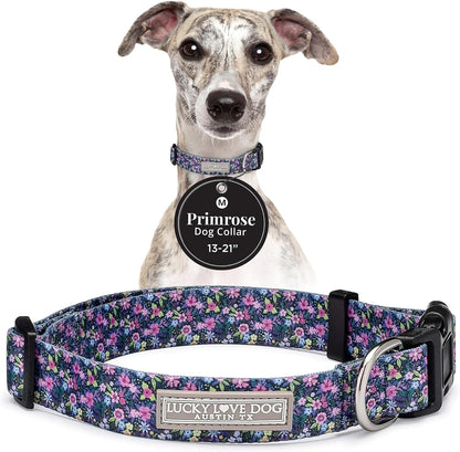 Lucky Love Dog - Easy Click Buckle Dog Collar with Leash Set Combo, Durable & Comfortable for Male & Female Dogs, Pet Collar for Medium Dogs, Secure Fit - Blackbird Combo, Medium59