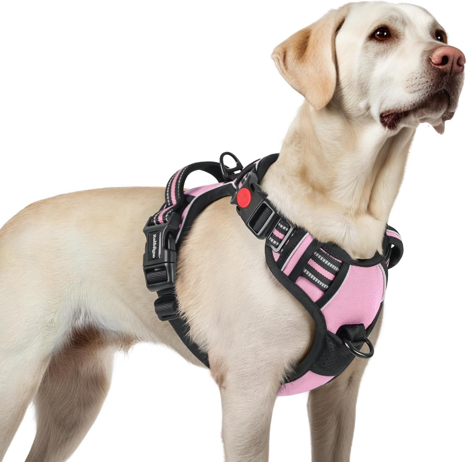 rabbitgoo-dog-harness-medium-sized-updated-easy-on-off-with-3-buckles-no-pull-no-choke-walking-with-2-clips-and-handle-adjustable-soft-reflective-blue-medium