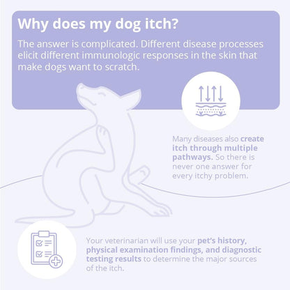 Mal-A-Ket Shampoo for Dogs and Cats, 8 Oz | Packaging May Vary6
