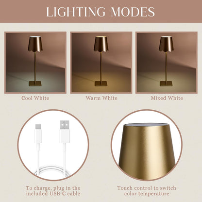 3-Piece Lamp Shade & Lamp Present Set – Scalloped, Conic, and Fabric Printed Shades, Gold5