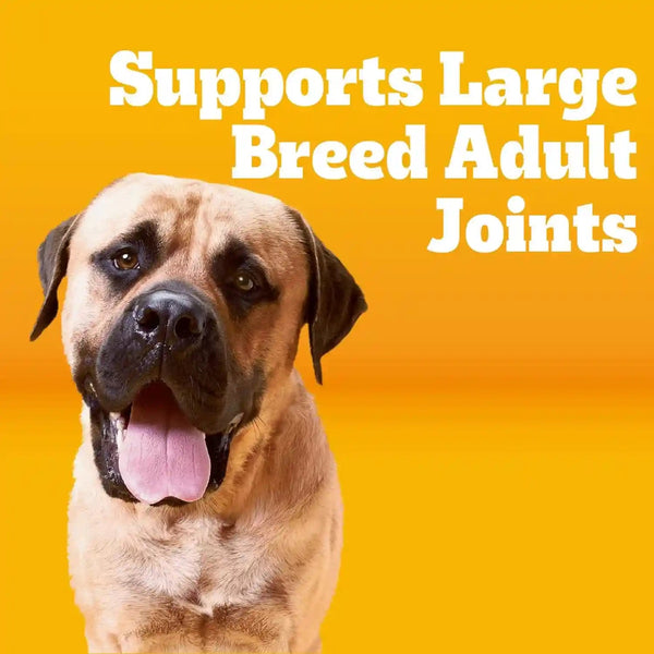 Pedigree Large Breed Adult Dry Dog Food, Roasted Chicken & Vegetable, 16 Lb | 36 Vitamins, Minerals & Amino Acids, Prebiotic Fiber, Supports Lean Muscle & Immune Health, Natural Flavors Only4