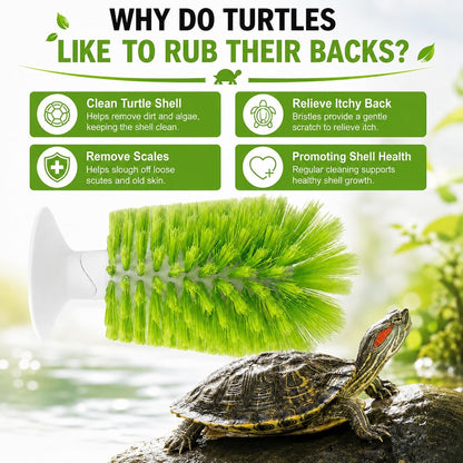 Turtle Scrub Brush, Turtle Scratches Back Brush Turtle Shell Clean Brush with Suction Cup Turtle Exfoliate Brush Tank Tortoise Brush for Remove Turtle Shell Scutes Mud Dirt4