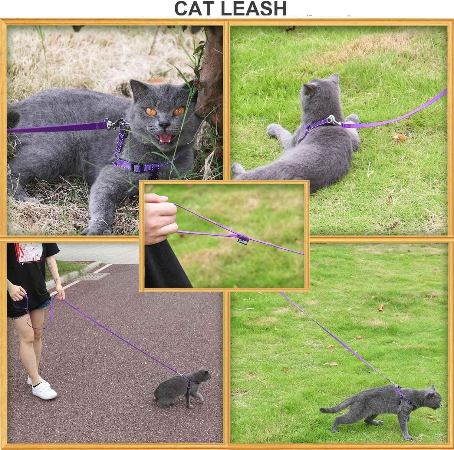 amagood-6-ft-puppy-leash-strong-traditional-style-with-easy-to-use-collar-hook-great-for-small-medium-and-large-dogs-5-8in-x-6-ft-purple
